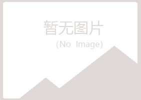 鹤岗东山从灵能源有限公司